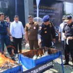 Tekan Potensi Kerugian Negara, Barang Kena Cukai Ilegal Dimusnahkan