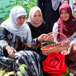 Hasil Vermin Perbaikan Pencalonan DPD RI, Keponakan Gubernur Khofifah Lolos
