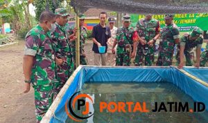 Kegiatan Kodim 0824/06 Budidayakan Ketahanan Pangan lewat Ikan Air Tawar Kolam Terpal