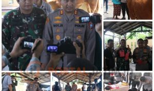 Tangkap Pencuri Hewan, Kapolres Lumajang Kembalikan Langsung Sapi Curian kepada Janda Tua Pemilik Sapi