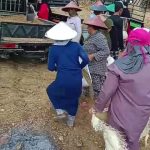 Miris Masyarakat Desa Kolo -Kolo Dusun Aeng Pao dan Desa Sumut Bebas Dianak Tirikan Oleh Kadesnya