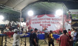 Camat Bambang Bawa Kecamatan Ketapang ke Kancah Nasional Dengan Event Ayam Ketawa di HUT ke 78 RI