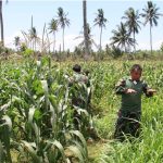 Pengairan Sistem Drip Bisa Mudahkan Petani di Musim Kemarau