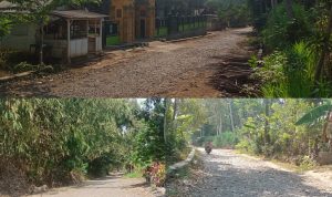 Warga Sumber Weringin Keluhkan Akses Jalan Kabupaten Yang Bertahun-Tahun Dibiarkan