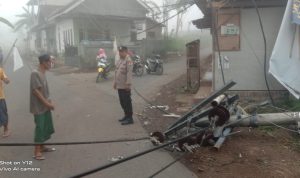 2 Tiang Listrik Roboh dan Sebabkan 2 Desa Alami Pemadaman, Polsek Jelbuk Sigap Lakukan Evakuasi
