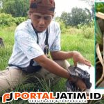 Limbah Medis Dibuang Sembarangan, Milik Siapa? 