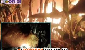 Kandang Kebakaran….!!! Sapi Seharga 16 Juta dan 4 Kambing Terbakar Hidup-Hidup 