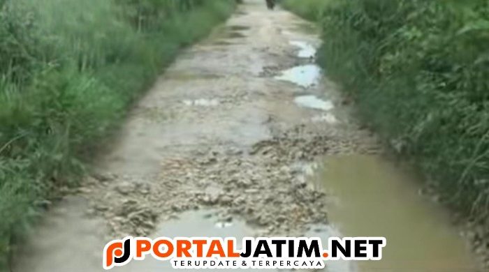 Rusaknya Infrastruktur Jalan Dipulau Kangean