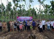 Sukseskan Ketahanan Pangan Nasional Diwilayah Tegaldlimo Ini Penjelasan Kapolsek Tegaldlimo