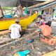 IMG 20250217 WA0042