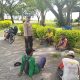 IMG 20250226 WA0017