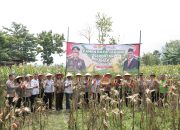 Kapolres Jember Dukung Program Asta Cita Pemerintah Dalam Panen Raya Jagung Serentak