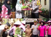 Kapolres Banyuwangi Penen Sayur di Pekarangan Pangan Lestari