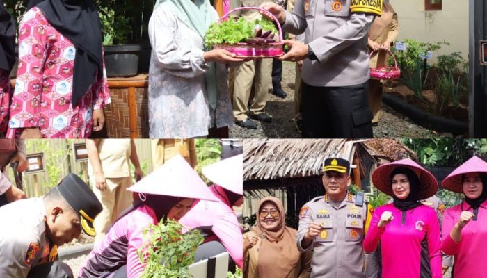 Kapolres Banyuwangi Penen Sayur di Pekarangan Pangan Lestari