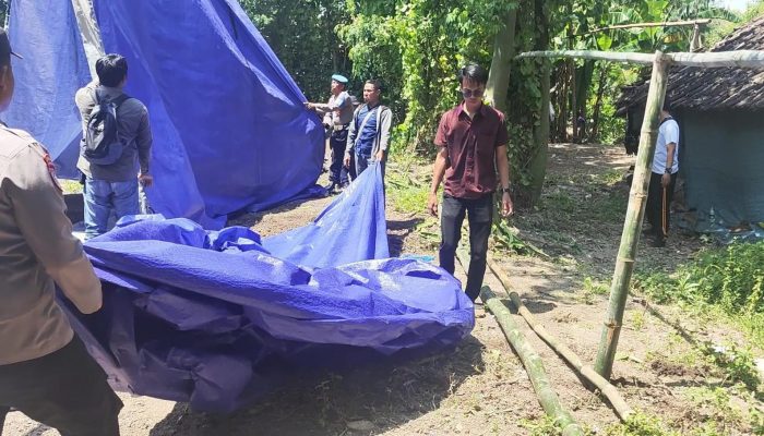 Kapolsek Tegaldlimo Bersama Anggota Lakukan Penggerebekan Lokasi Yang Diduga Dijadikan Arena Sabung Ayam 