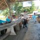 IMG 20250406 WA0025