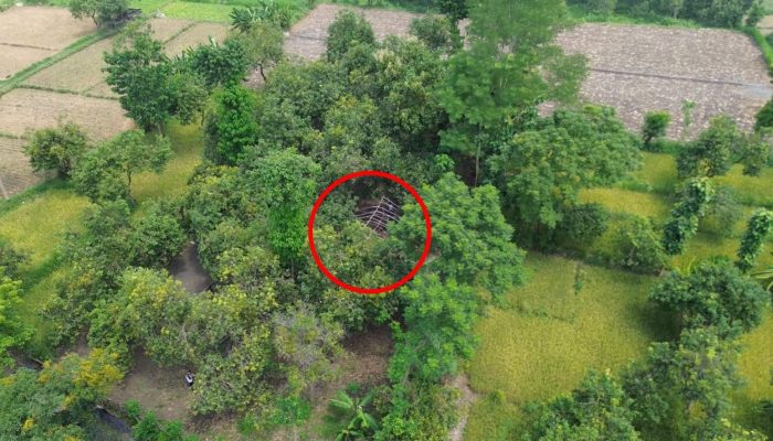 Patroli Drone, Polres Pasuruan Kota Berhasil Identifikasi dan Bongkar Lokasi Sabung Ayam