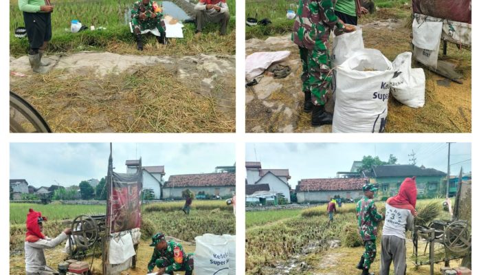 Babinsa Koramil 0809/Pesantren Siap Mendukung Ketahanan Pangan Ditingkat Nasional