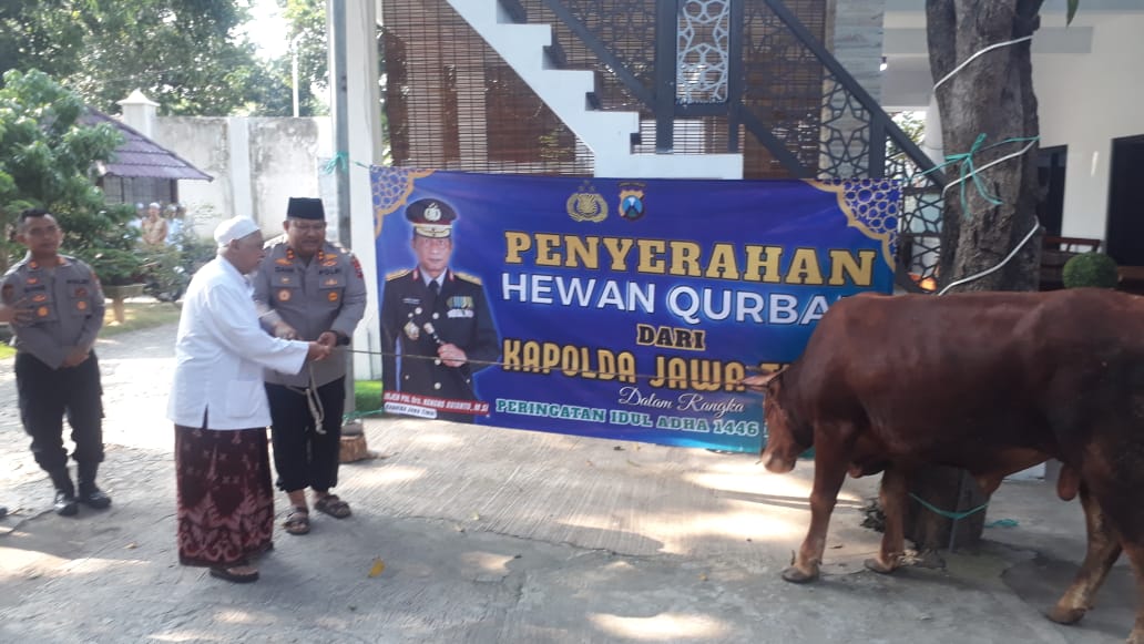 IMG 20250606 WA0013
