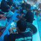IMG 20250607 WA0000