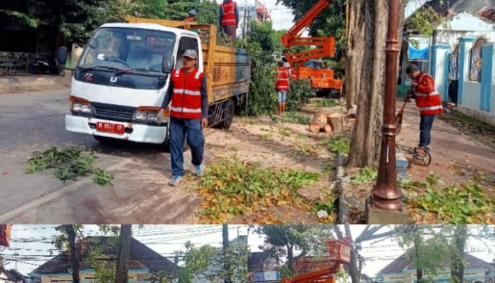 DLH Sumenep Beraksi, Pemangkasan pohon Untuk Kota yang Lebih Rapi dan Indah