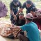Warga Torjun Meninggal Dunia Akibat Sambaran Petir