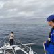 IMG 20250703 WA0040