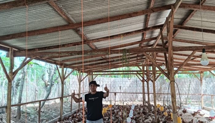 Jahri, Sosok Muda dari Sumbernangka Kangean yang Sukses Kembangkan Usaha Ayam hingga Tembus Pasar Nasional