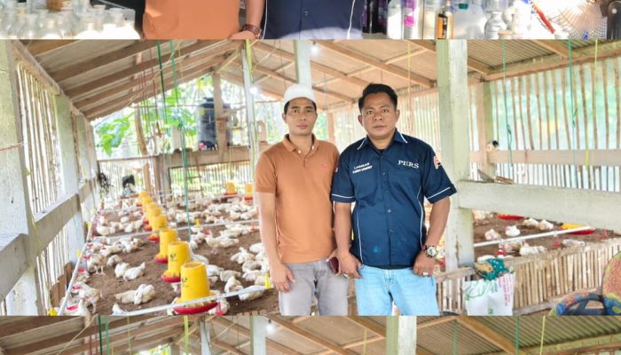 Kabiro PortalJatim.net Sumenep Kunjungi Pengusaha Muda JR di Kangean, Gali Semangat Wirausaha dari Ujung Timur Madura