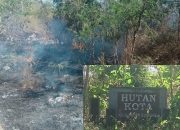 Kebakaran Hutan Kota Sumenep, Publik Minta Pemkab Lebih Responsif