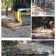 Warga Soroti Pengaspalan Setengah Hati di Desa Mandala, Minta Pemerintah Lebih Serius