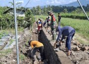 Sinergi TNI dan Rakyat: Satgas TMMD 125 dan Babinsa Genjot Pembangunan Irigasi Desa Kesilir Demi Kesejahteraan Petani