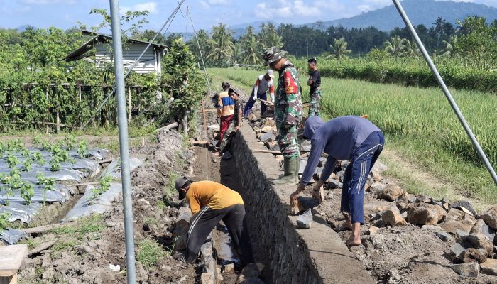 Sinergi TNI dan Rakyat: Satgas TMMD 125 dan Babinsa Genjot Pembangunan Irigasi Desa Kesilir Demi Kesejahteraan Petani