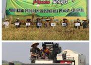 Kodim 0809/Kediri Bersama Pemda Gelar Panen Raya Dukung Swasembada Pangan Nasional