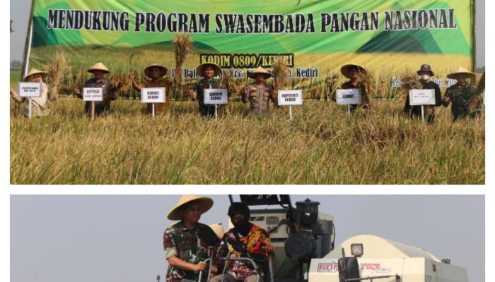 Kodim 0809/Kediri Bersama Pemda Gelar Panen Raya Dukung Swasembada Pangan Nasional