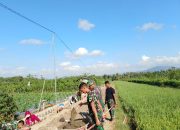 TMMD 125 Banyuwangi: Prajurit dan Rakyat Bersatu Kejar Target Pengairan Sawah