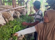Kisah Di Balik Layar Pembangunan Fisik TMMD Banyuwangi