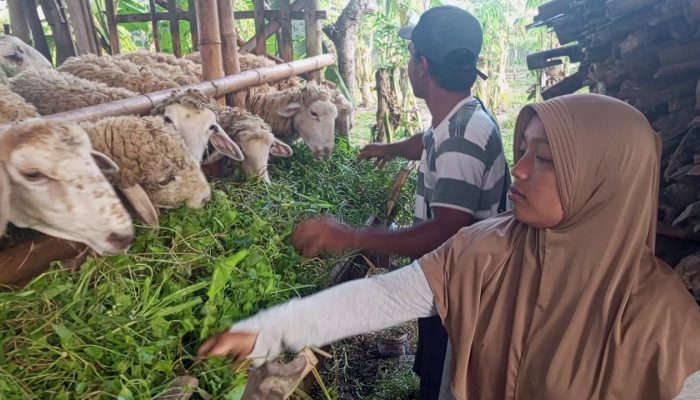 Kisah Di Balik Layar Pembangunan Fisik TMMD Banyuwangi