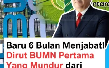IMG 20250825 WA0042