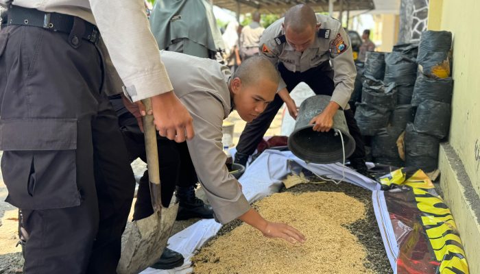 Wujudkan Kampus Hijau, Ratusan Calon Bintara Polri Dalami Ilmu Pertanian di SPN Polda Jatim