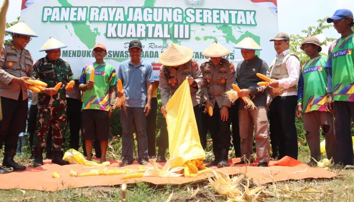 Mendukung Program Ketahanan Pangan, Kapolres Mojokerto kota menggandeng Poktan adakan Panen Jagung Kuartal III