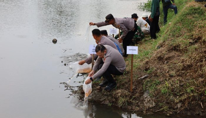 Jaga Ekosistem Sungai Polres Tulungagung Tebar 5.000 Benih Ikan Tombro di Boyolangu