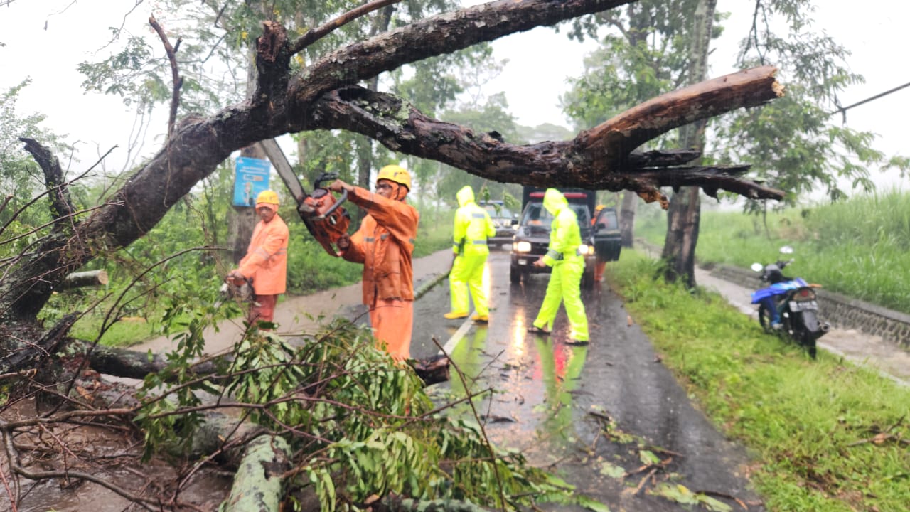 Pohon Tumbang  Jalur Magetan – Bendo Berhasil Dievakuasi 1 IMG 20251028 WA0002