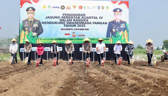 Kapolda Jatim Pimpin Penanaman Jagung Serentak Kwartal IV di Mojokerto Pakai Benih Eco Bhayangkara