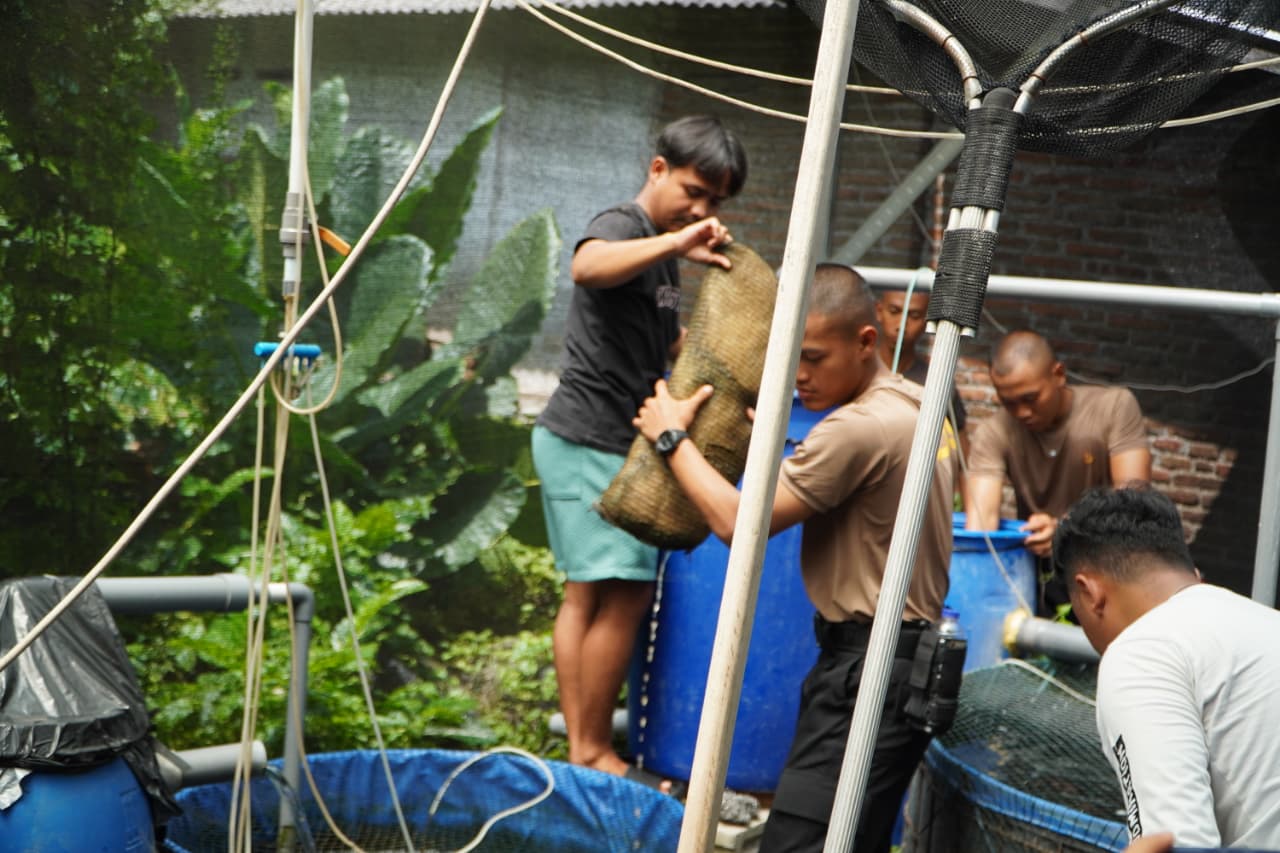 0ec43062 e5ff 4548 b415 d9dfaa88e21b